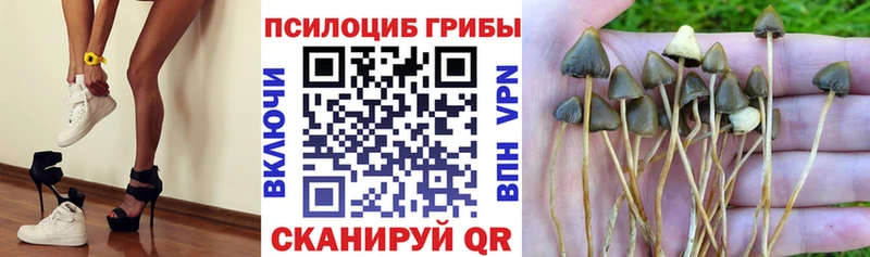 Галлюциногенные грибы Magic Shrooms  ссылка на мегу как зайти  Котлас  наркошоп 