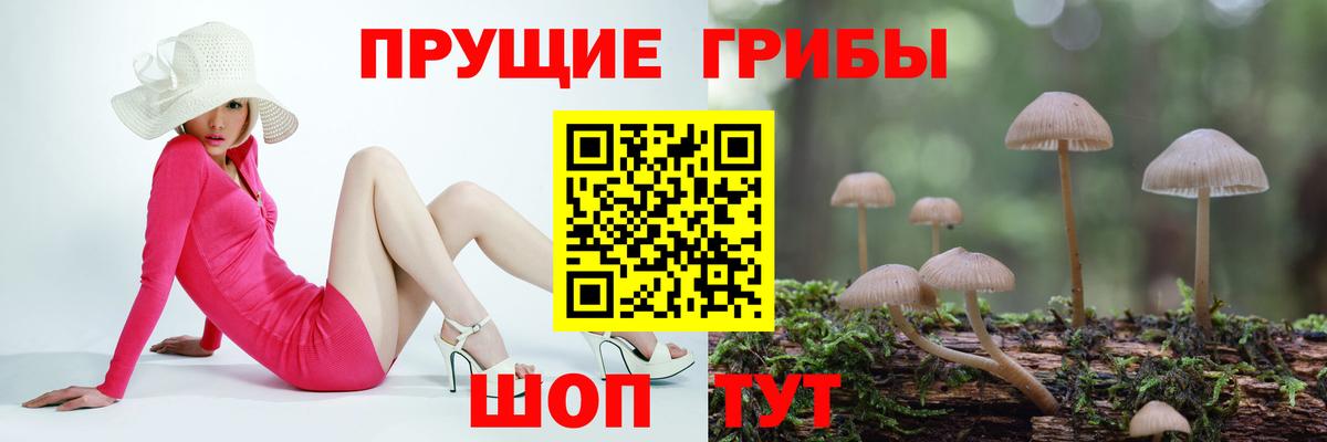 Котлас  Галлюциногенные грибы MAGIC MUSHROOMS  Псилоцибиновые грибы Magic Shrooms  Вход с VPN 